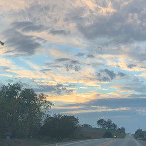 Meet your Posher, Carley